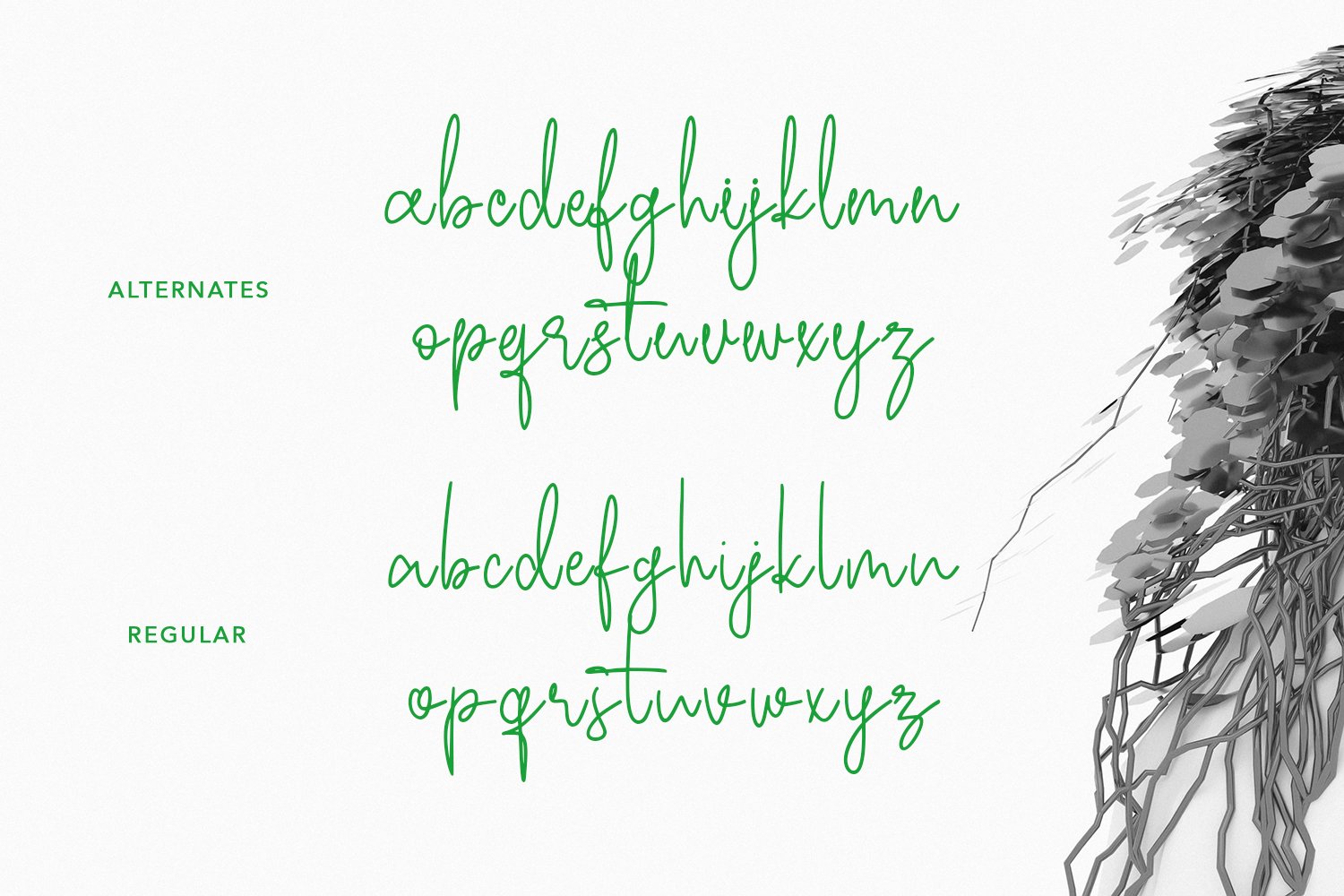 ecaliptycus script font 10 855