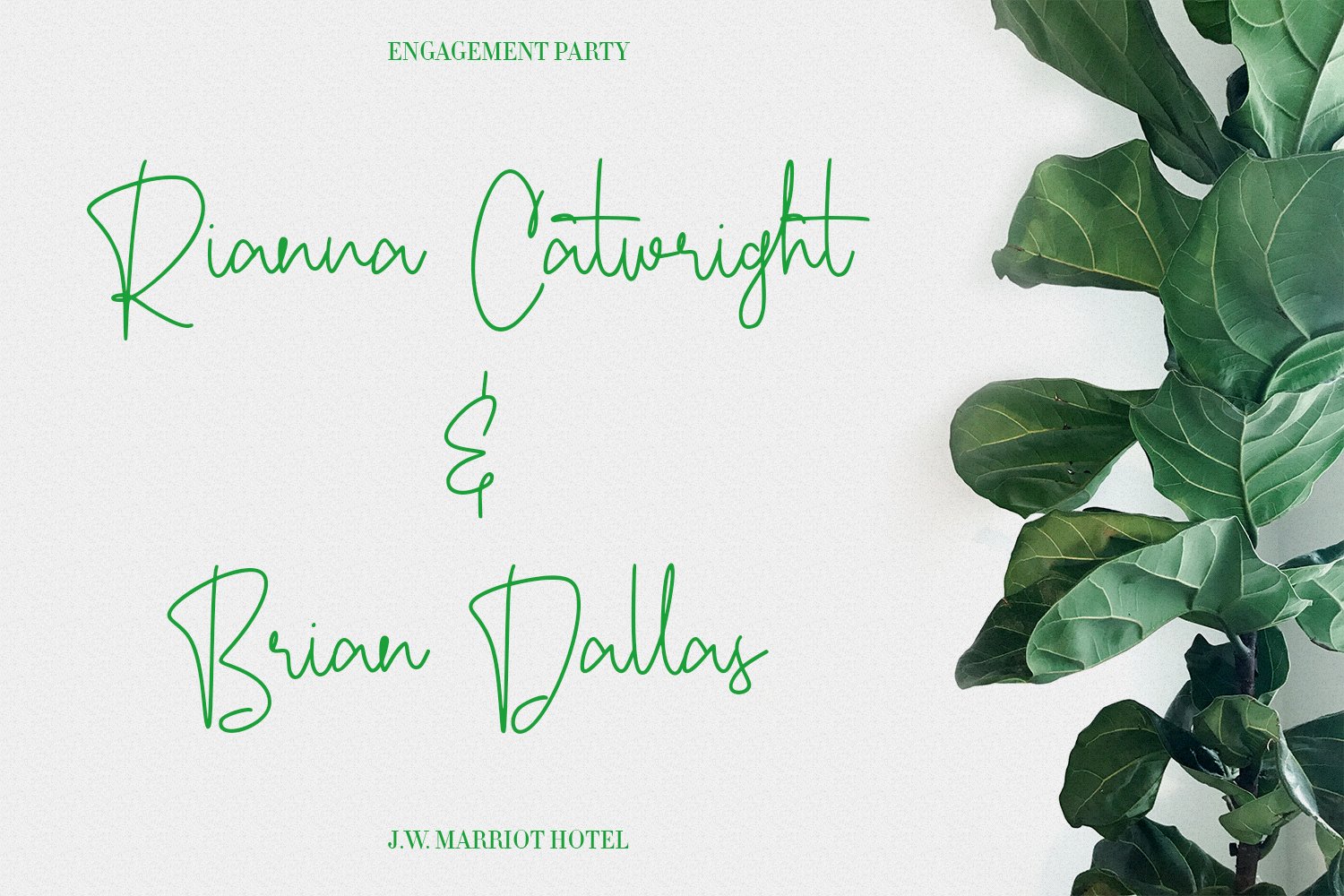 ecaliptycus script font 3 500