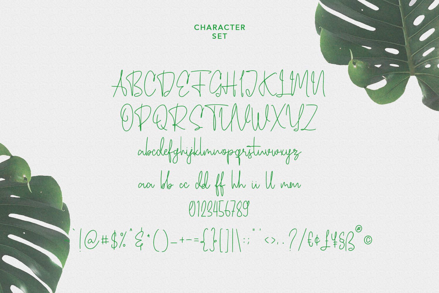 ecaliptycus script font 8 420