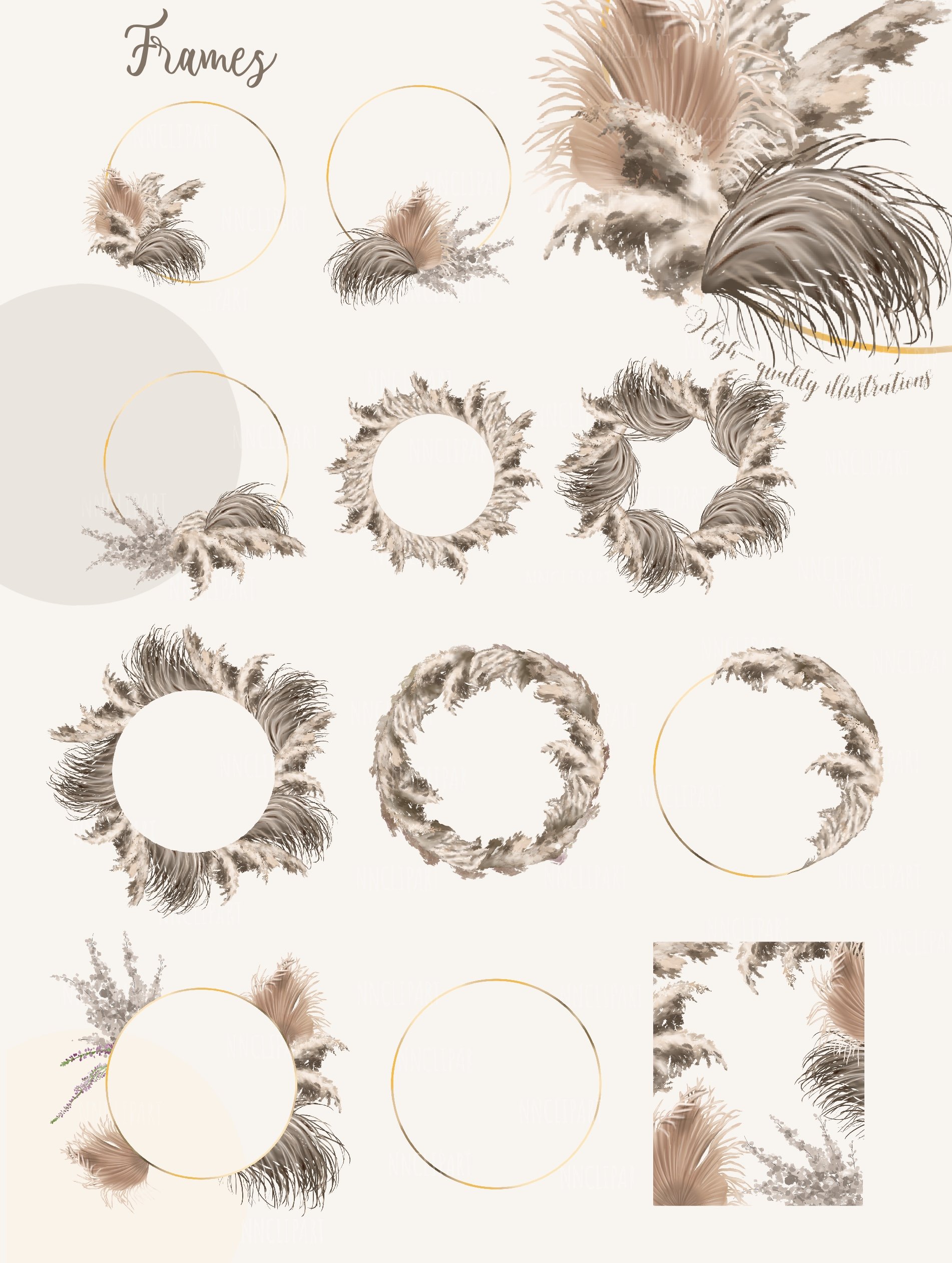 Bunch of different types of feathers on a white background.