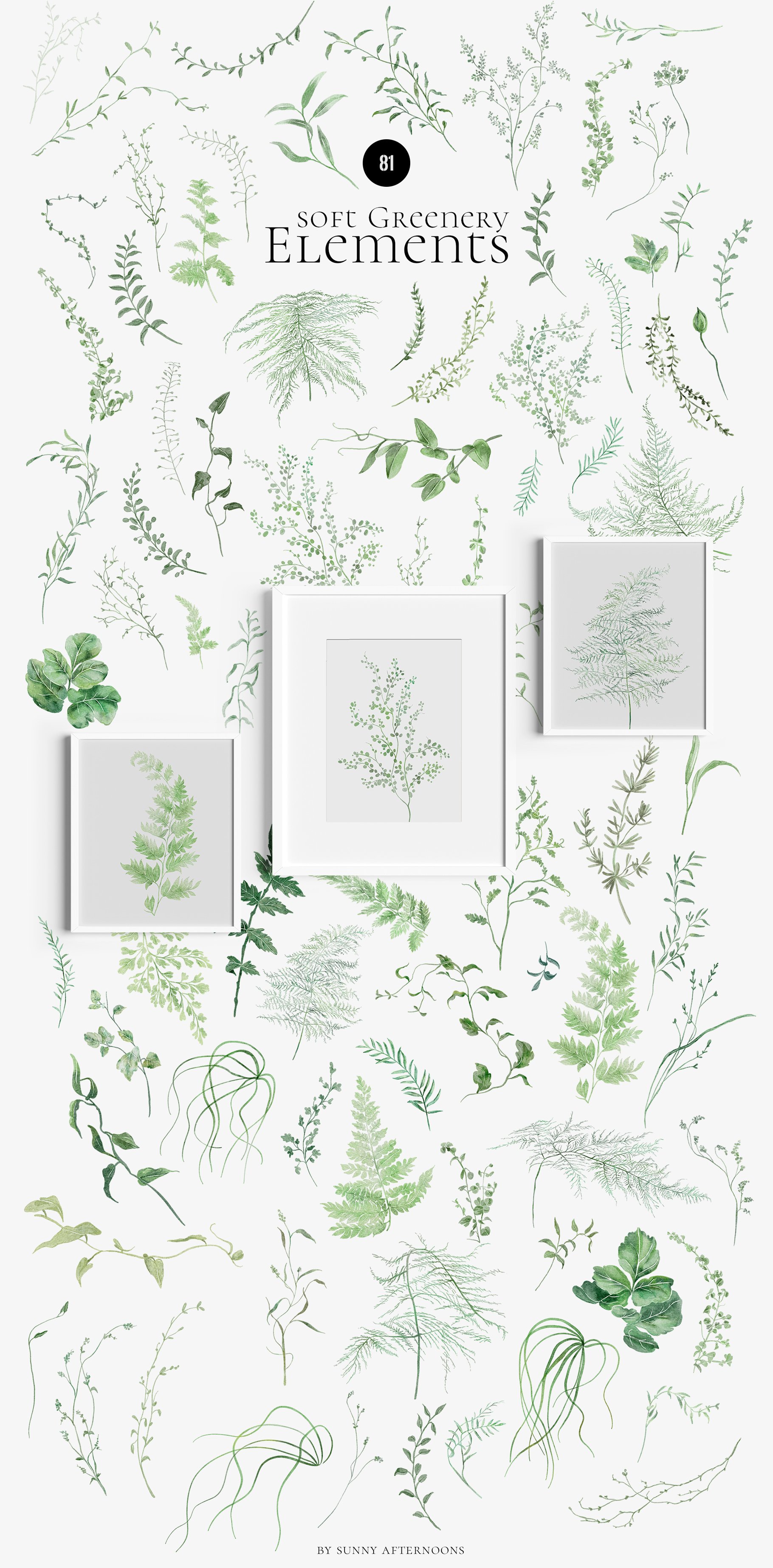 Bunch of green plants on a white background.