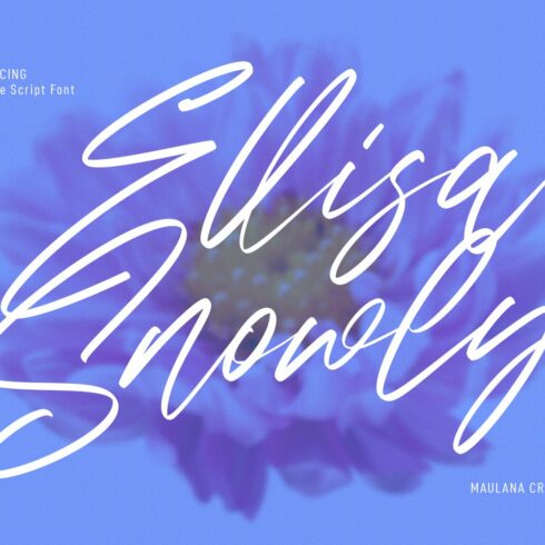 Ellisa Snowly Signature Script Font cover image.