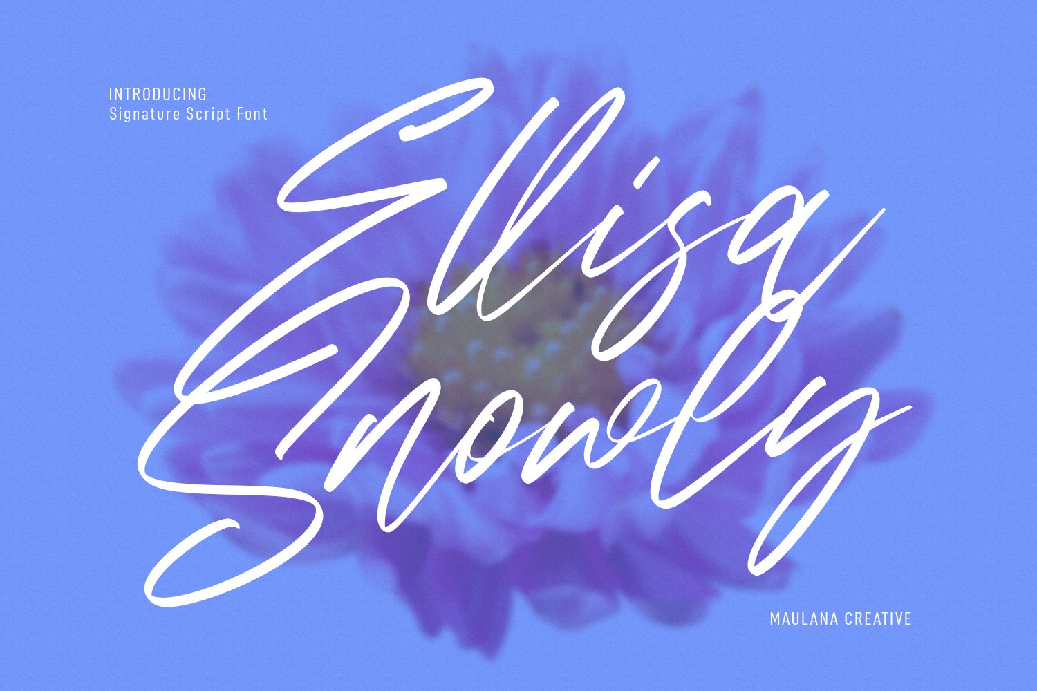 Ellisa Snowly Signature Script Font cover image.