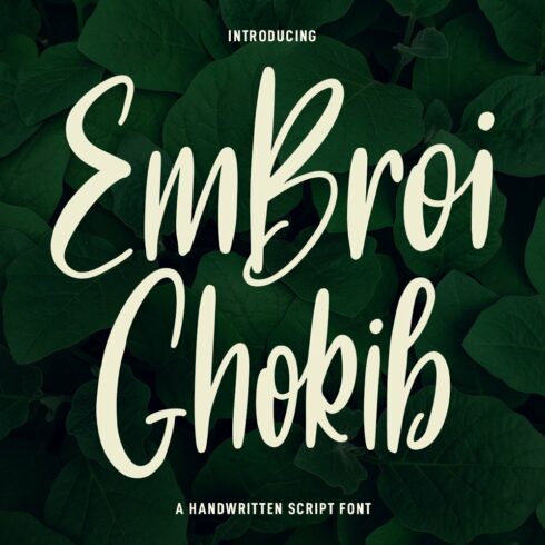 Embroi Ghokib Handwritten Script cover image.