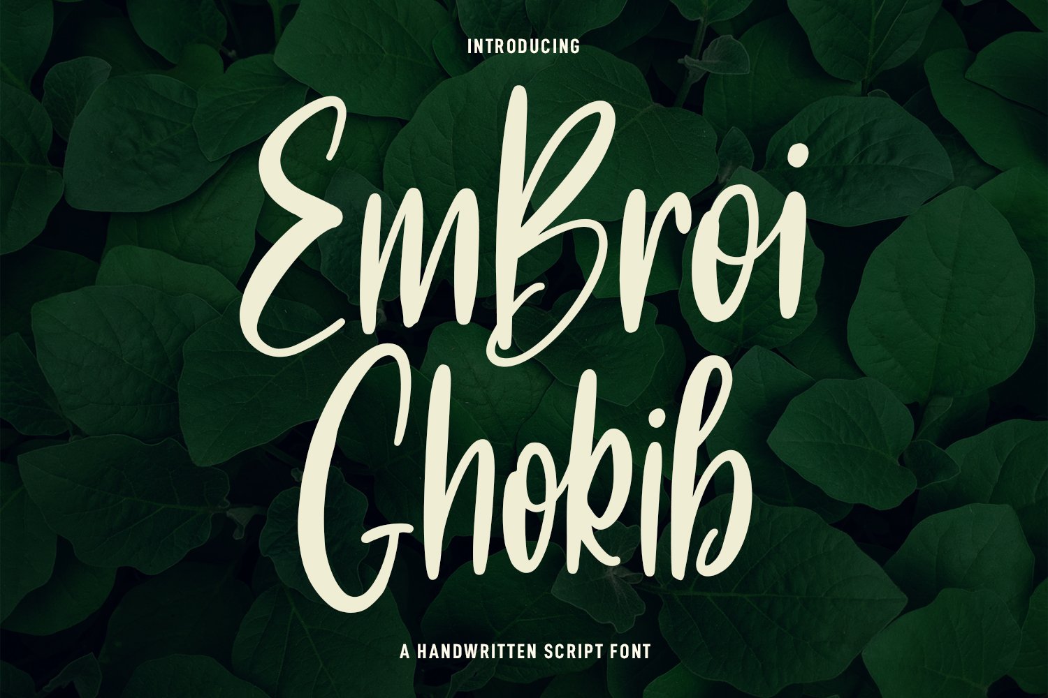 Embroi Ghokib Handwritten Script cover image.