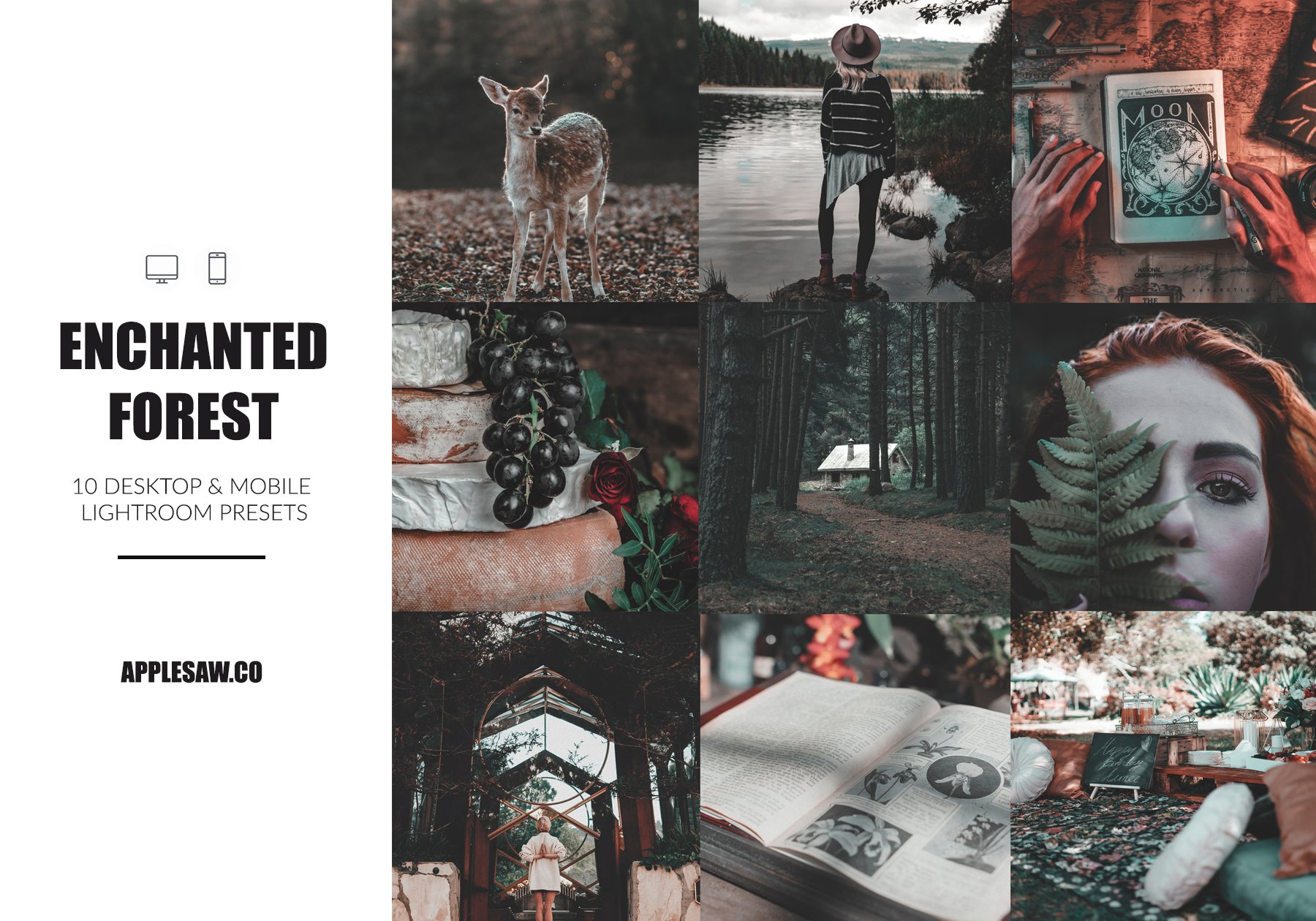 enchanted forest cover 312