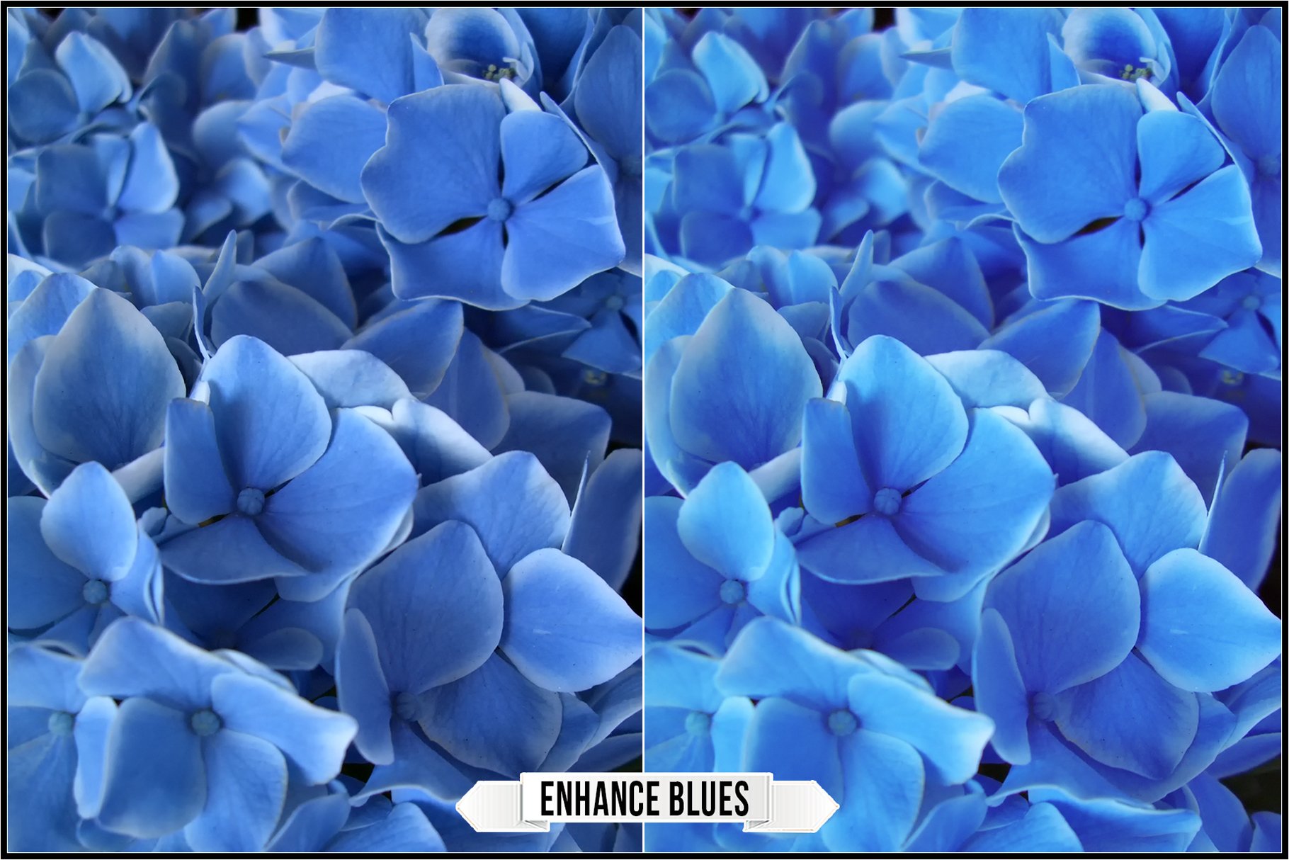 enhance blues 800