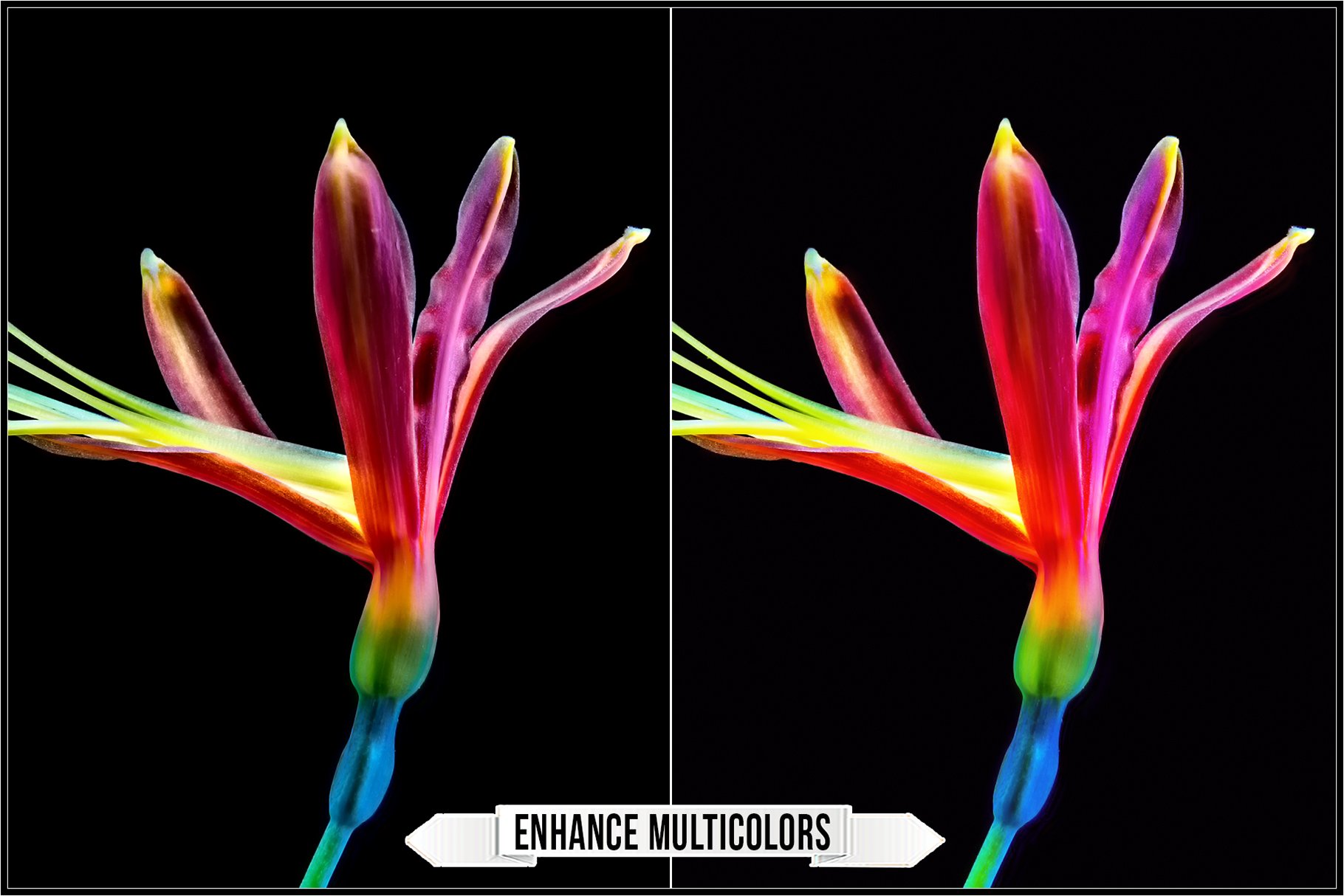 enhance multicolors 695