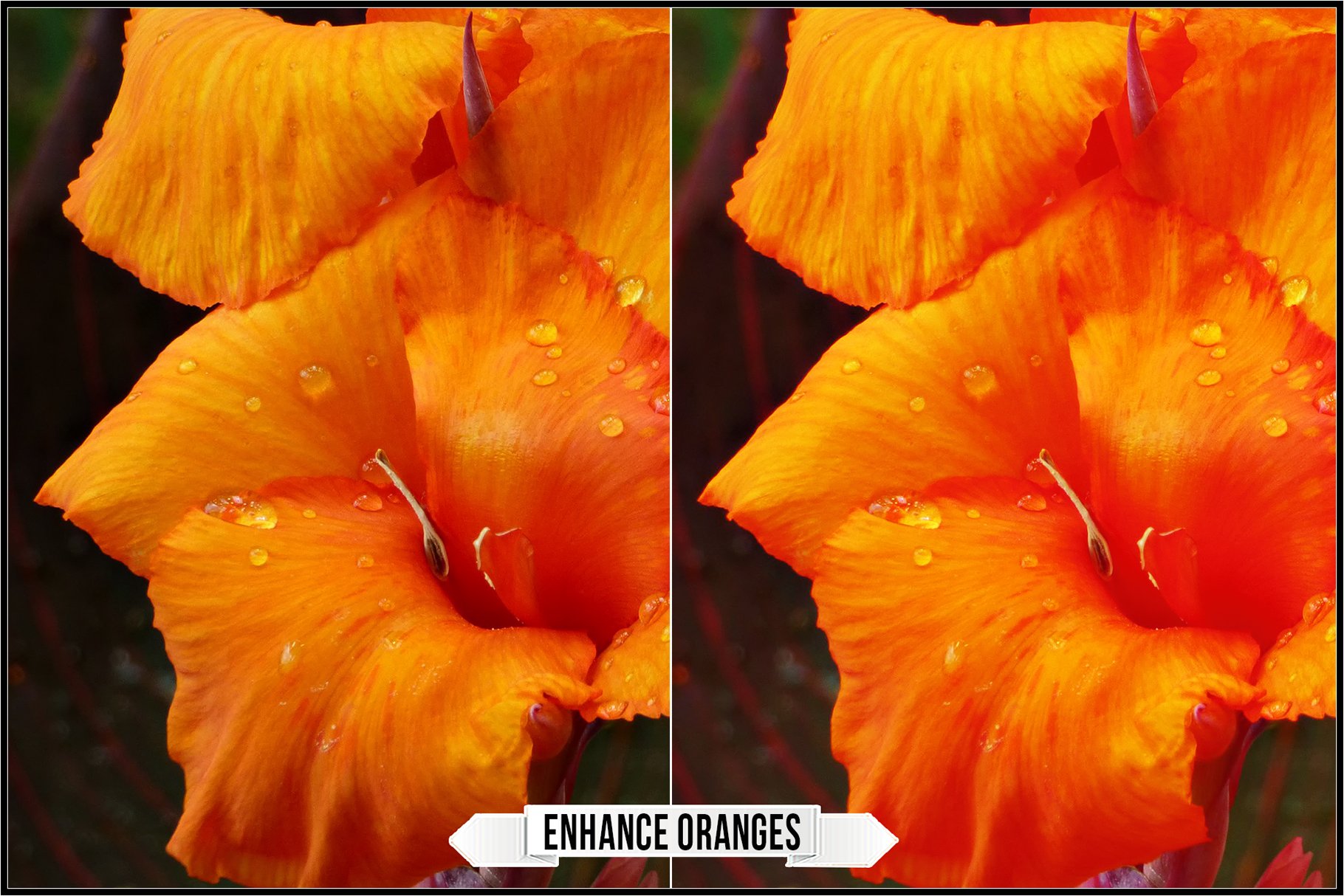 enhance oranges 887