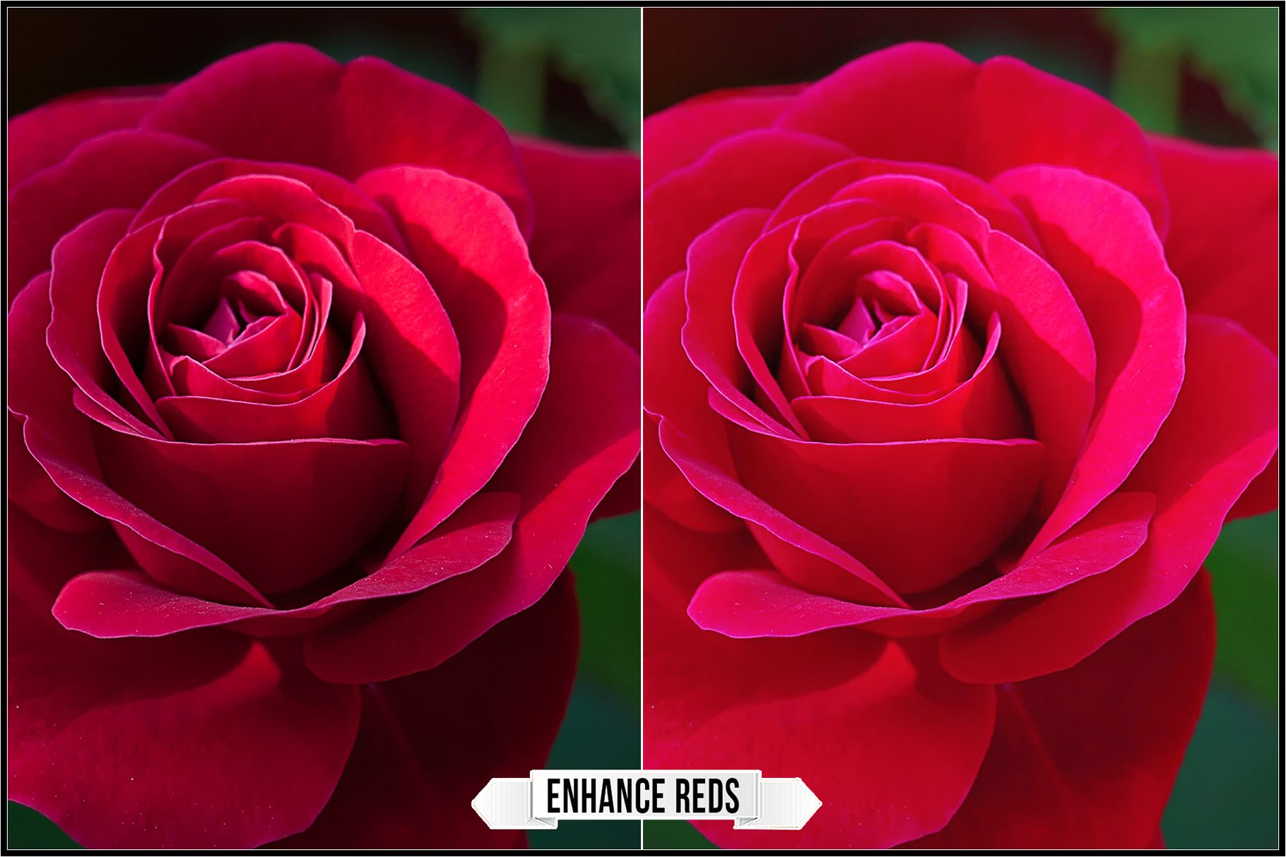 enhance reds 210