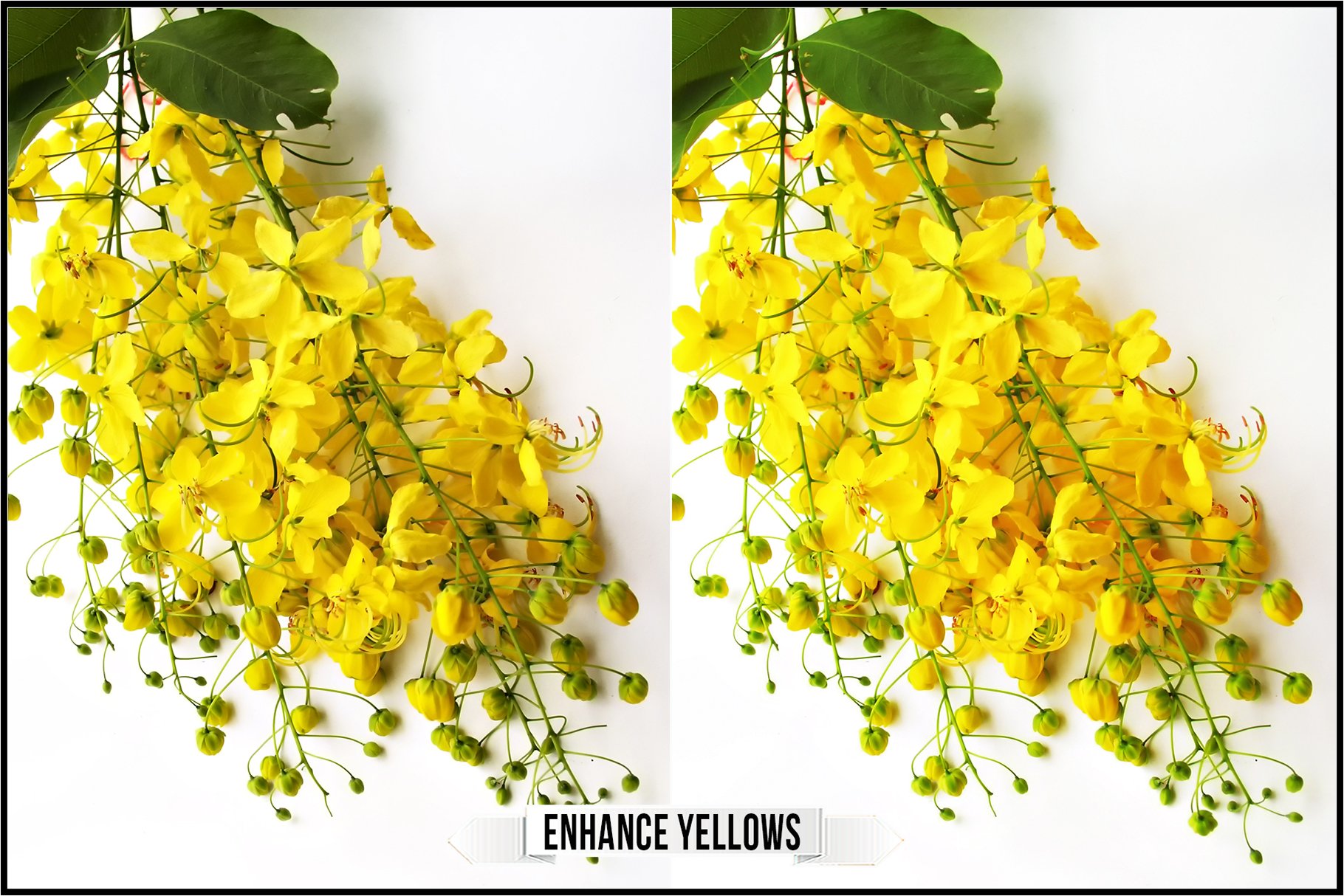 enhance yellows 589