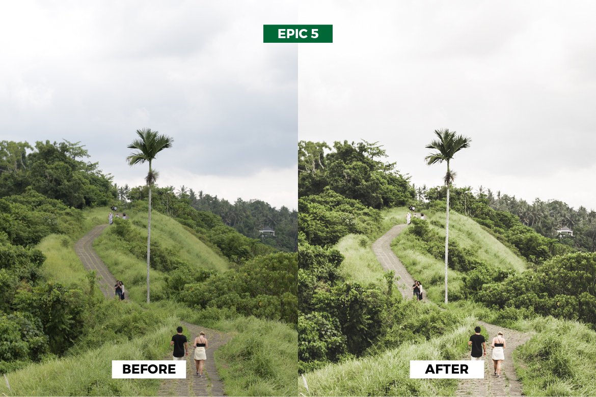 epic green travel preset 06 360