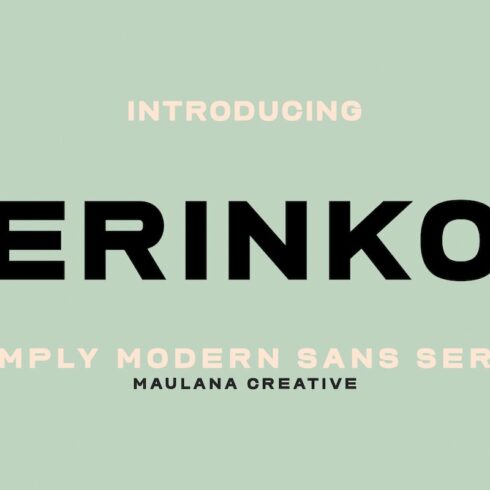 Erinko Simply Modern Sans Serif cover image.