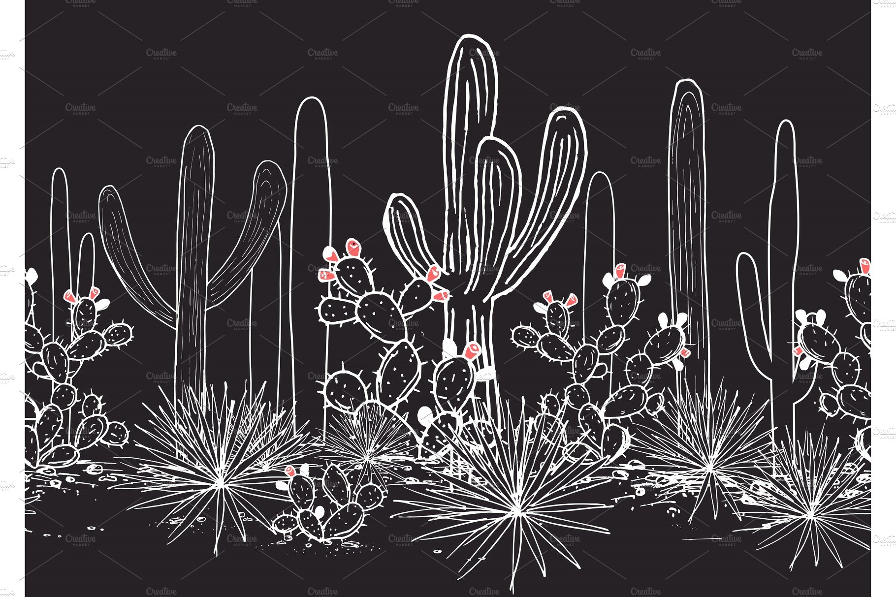 Black and white drawing of cactus plants.