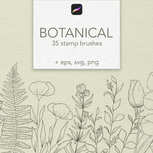 Botanical Procreate stamps, clipartscover image.