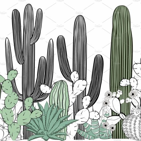 Line drawing of cactus and cacti.