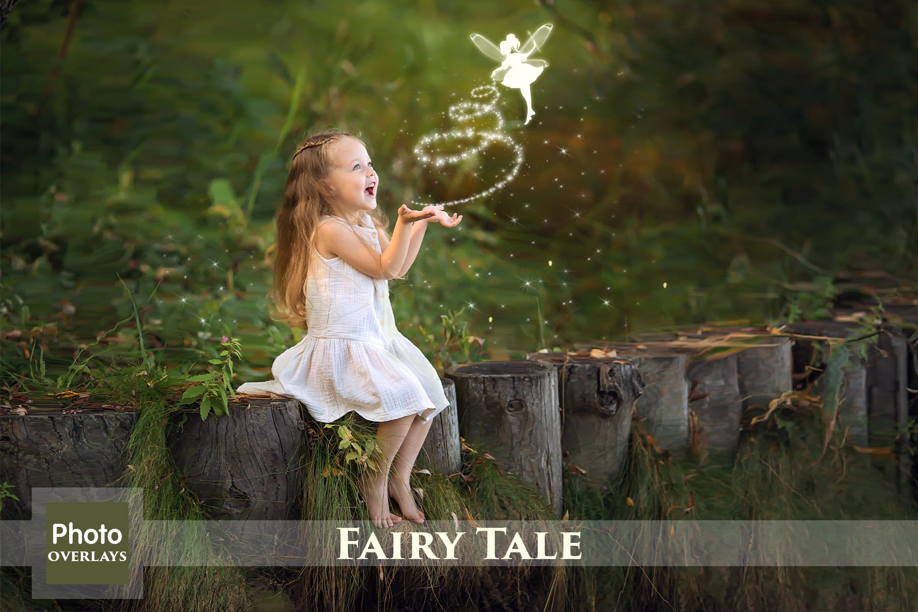 Fairy tale overlayscover image.