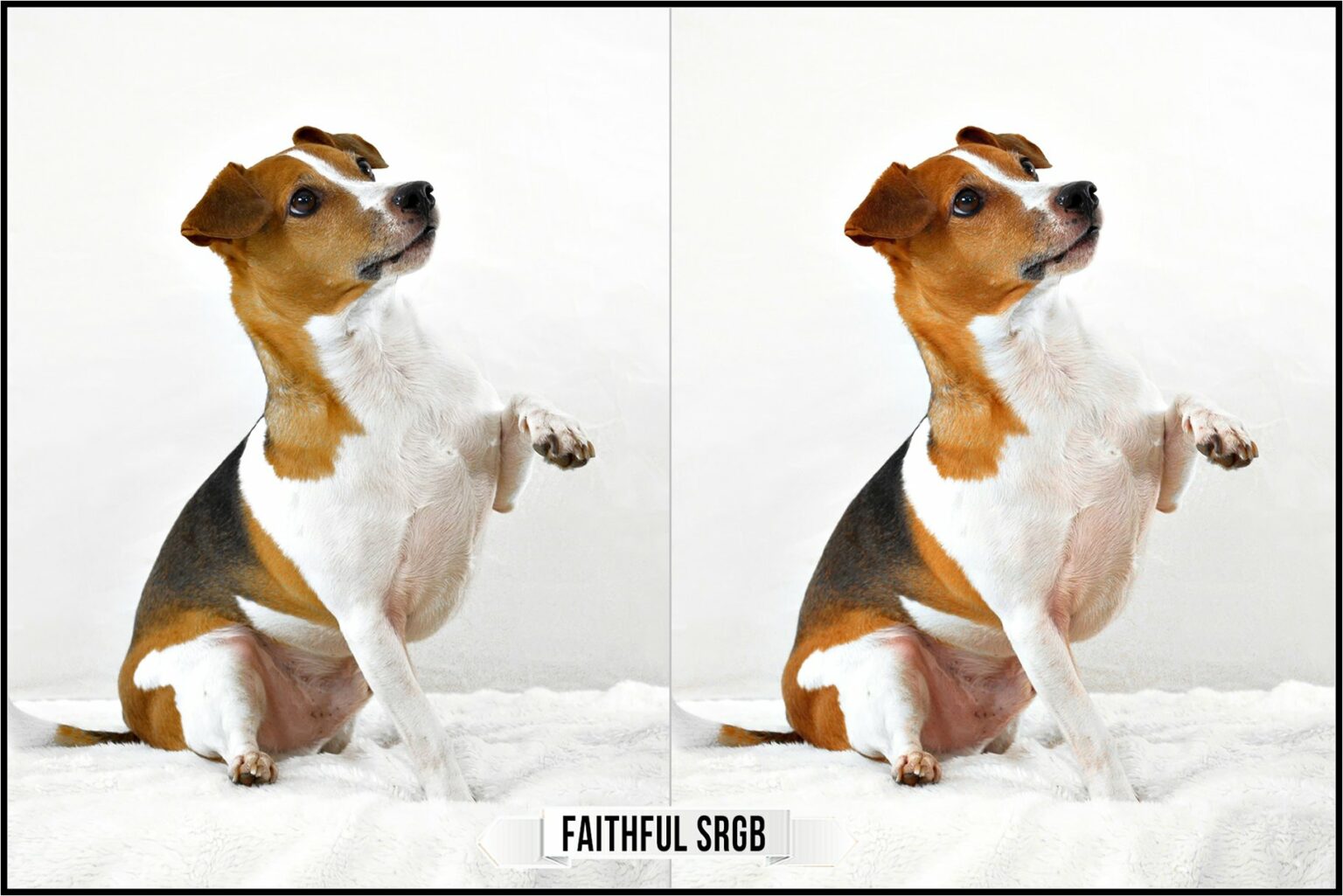 Canon Picture Styles Profiles MasterBundles