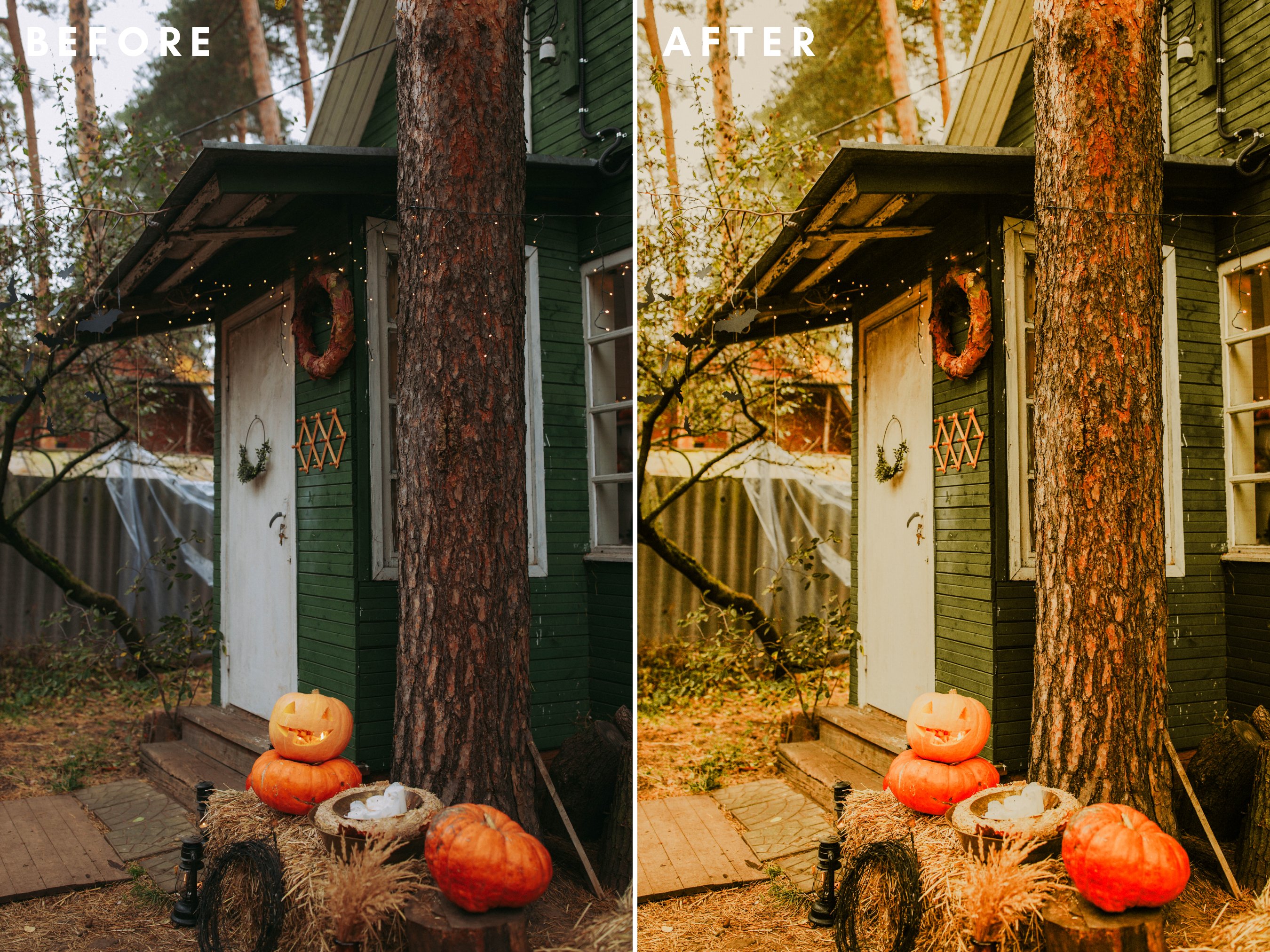 Fall Lightroom Presets. XMP, DNGpreview image.