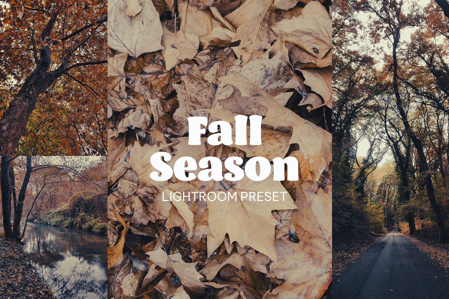 Fall Season - 6 Lightroom Presetscover image.