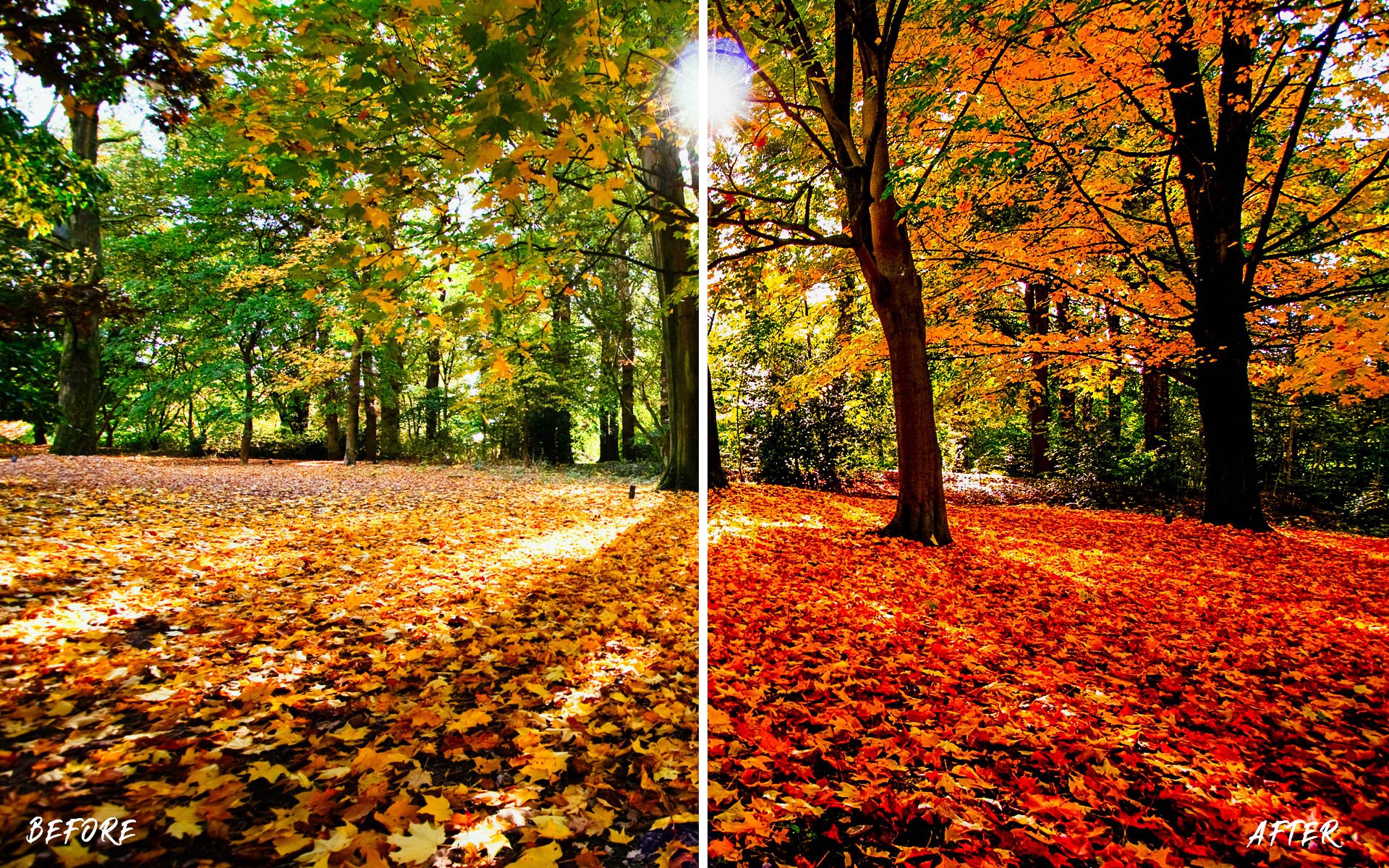 Autumn Lightroom Preset Bundlepreview image.