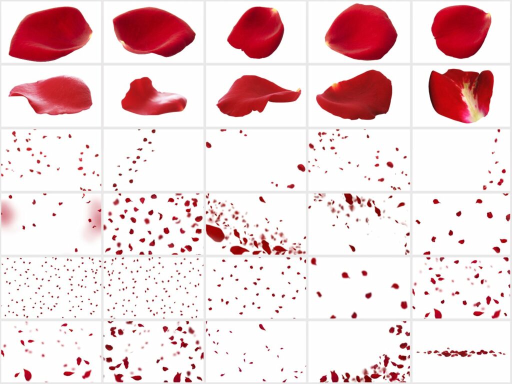 30 Falling Rose Petals Photo Overlay – MasterBundles