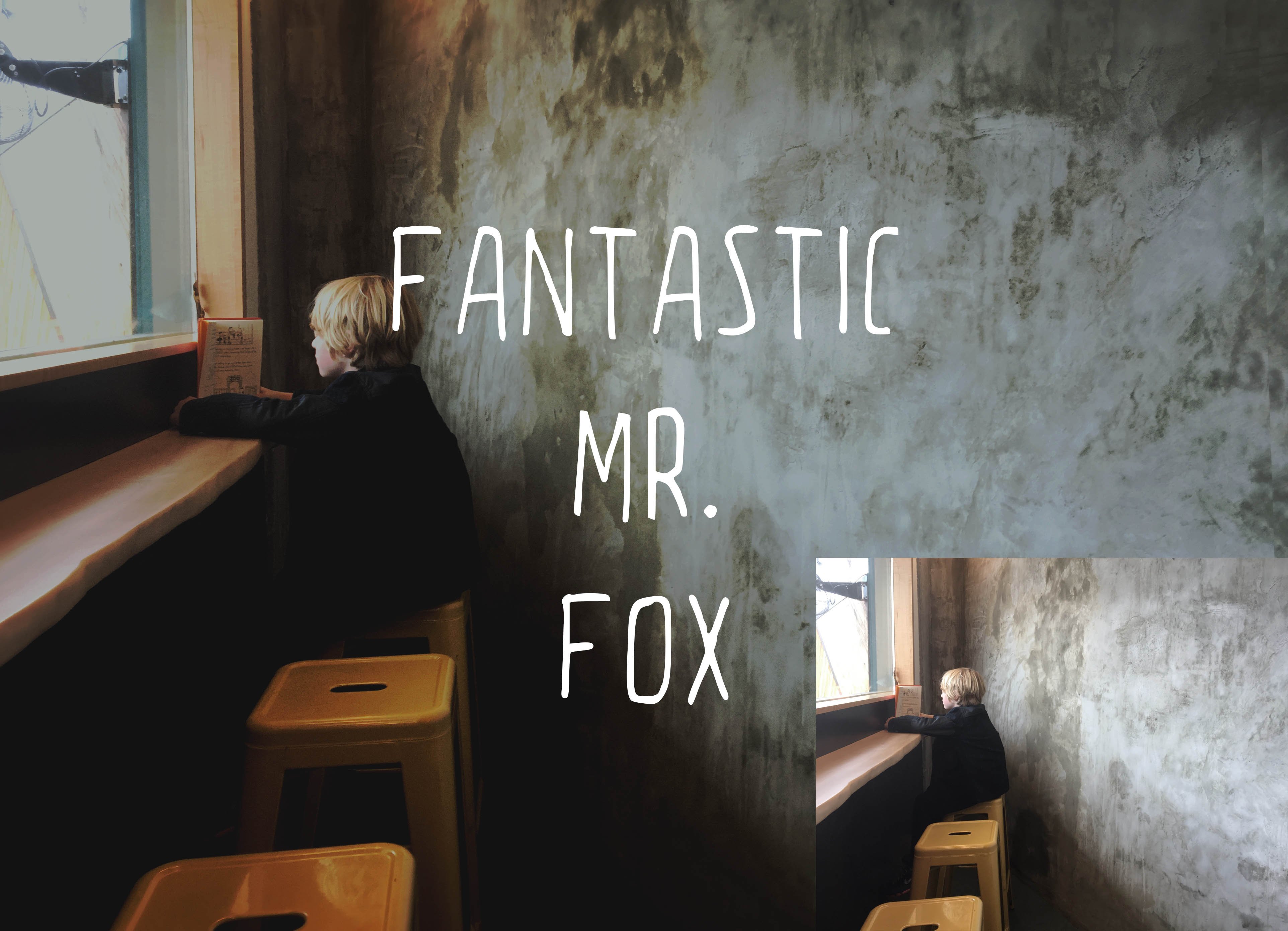 fantastic mr fox 186