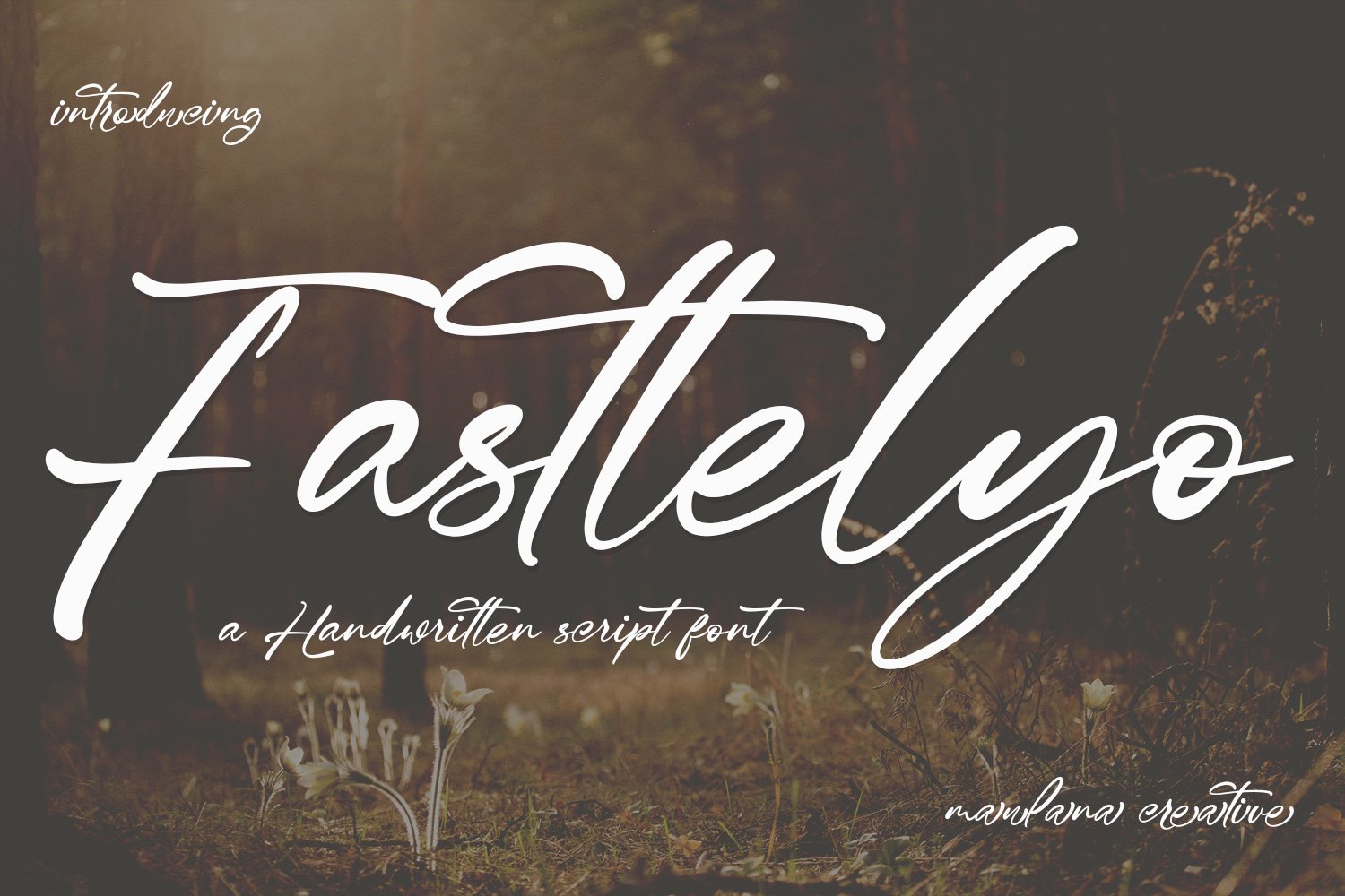 Fasttelyo Signature Script Font cover image.