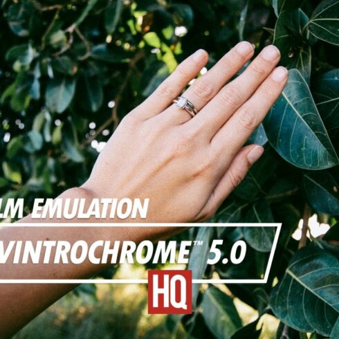 Vintrochrome 5.0 | Film Emulationcover image.