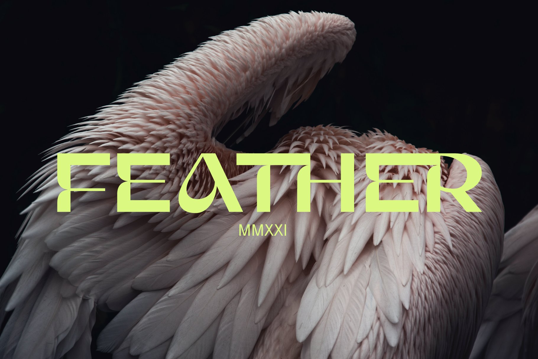 feather 676