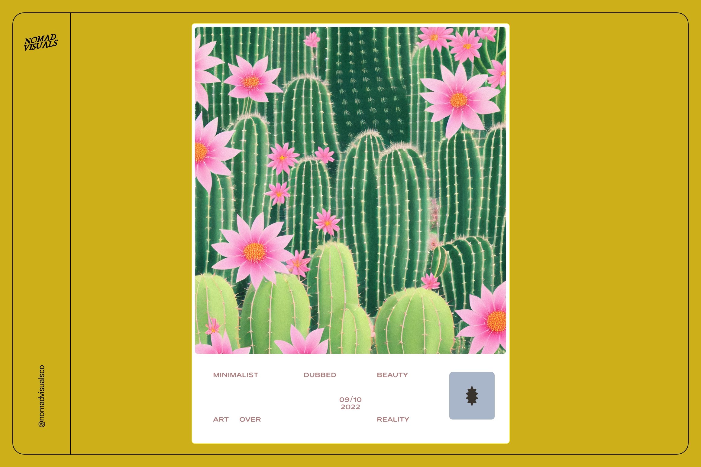 Picture of a cactus with pink flowers.