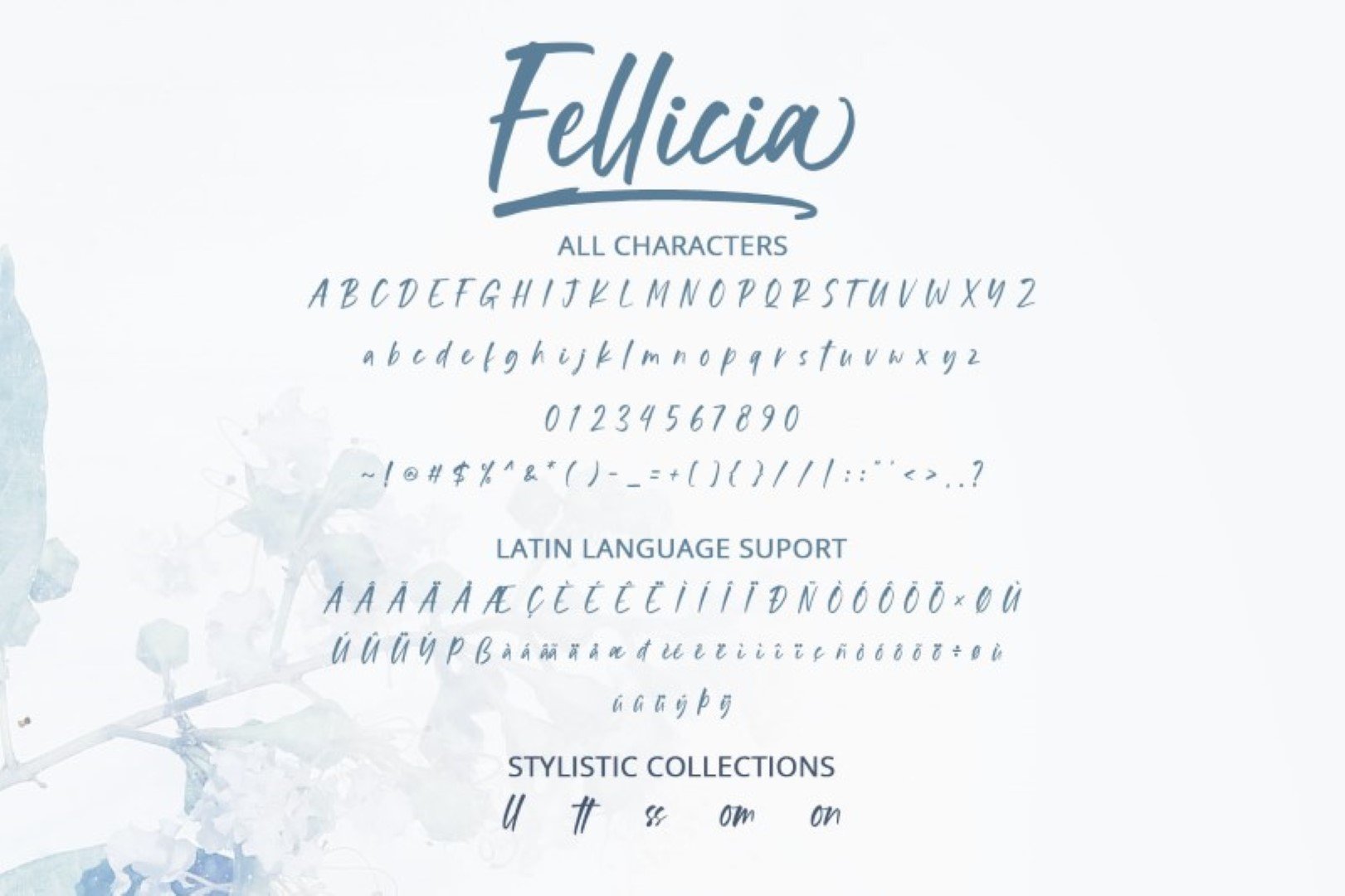 Fellicia preview image.