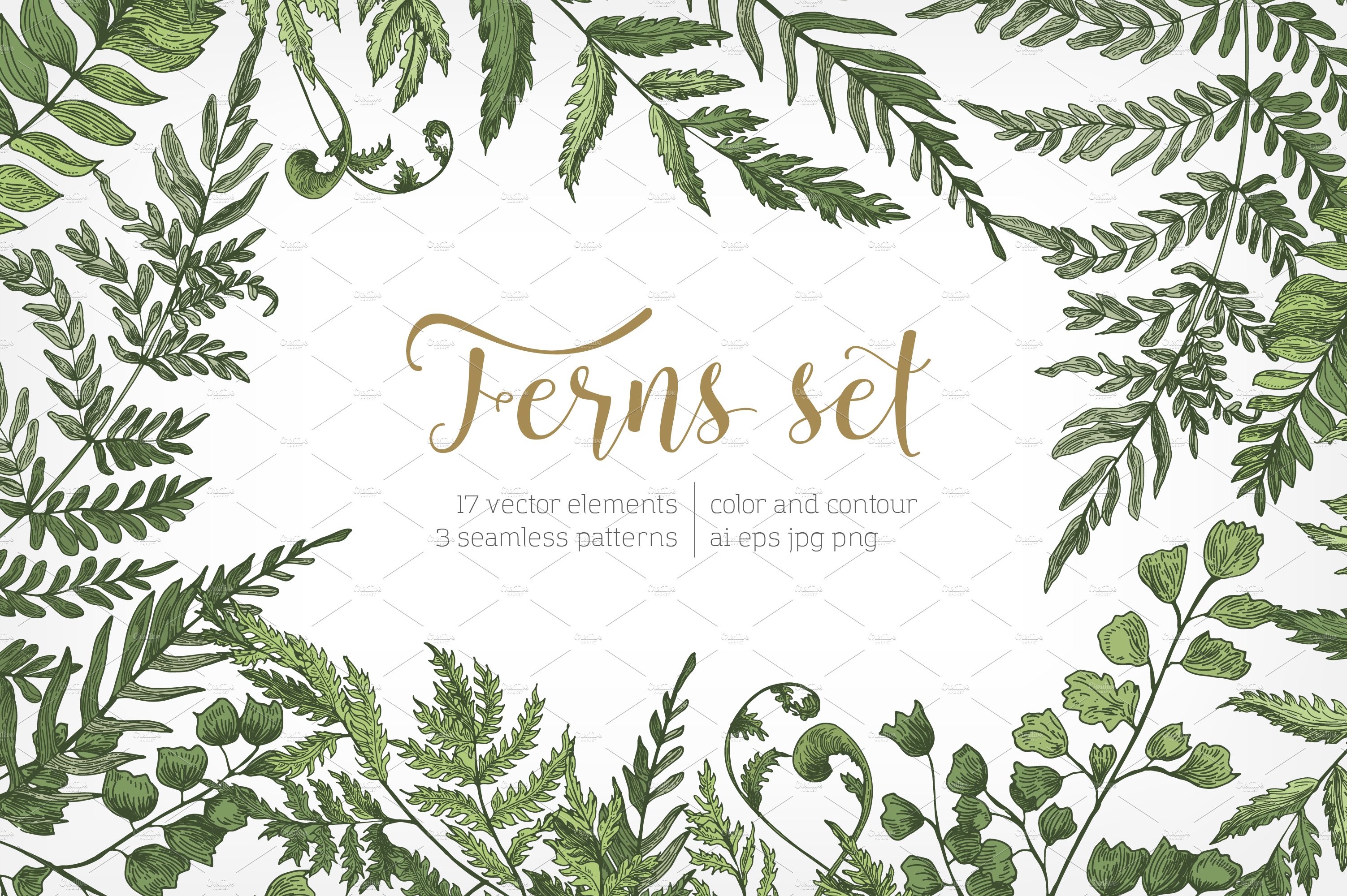 Ferns green foliage - set, backdrop cover image.
