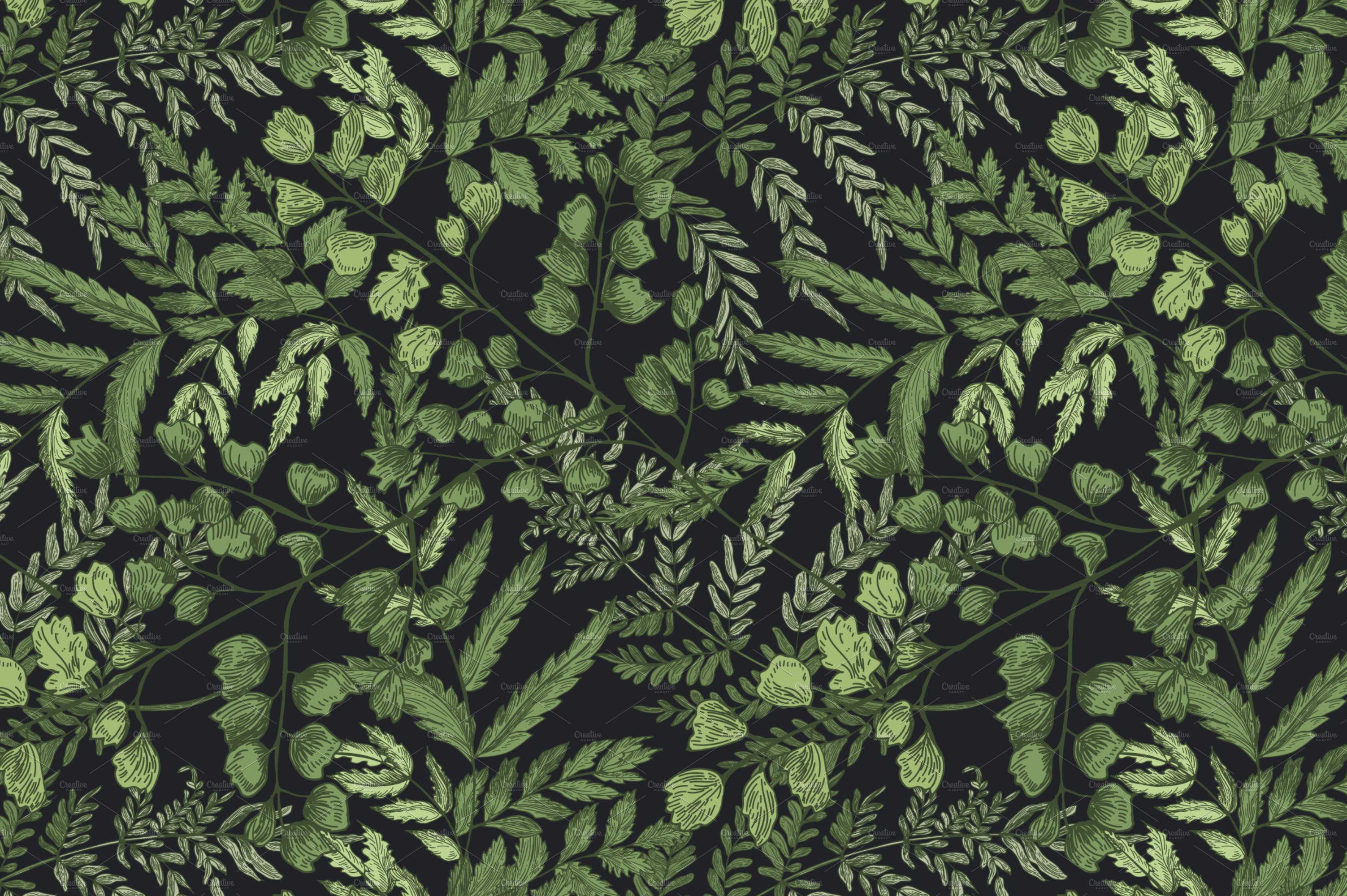 Black background with green leaves and plants.