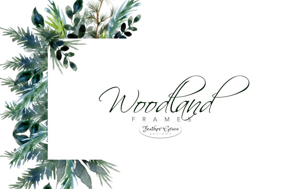 White background with a green plant border.