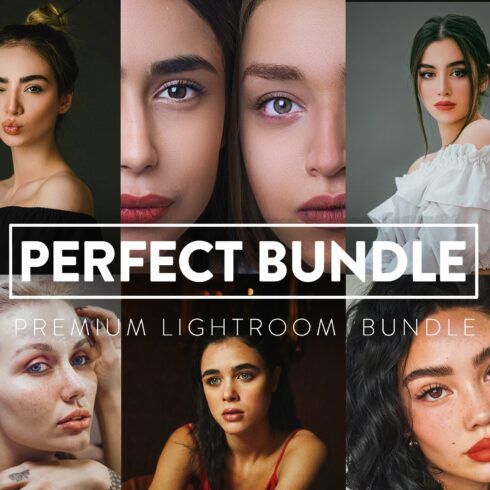 60 Perfect Bundle Lightroom Presetscover image.