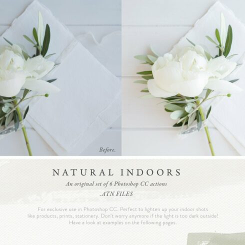 Photoshop Actions - Natural Indoorscover image.