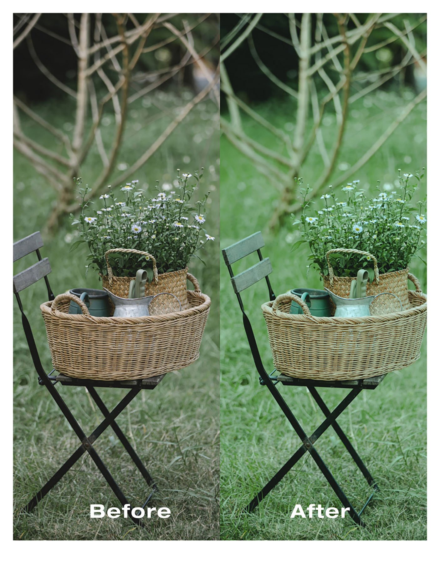 film grain before after 0101 656