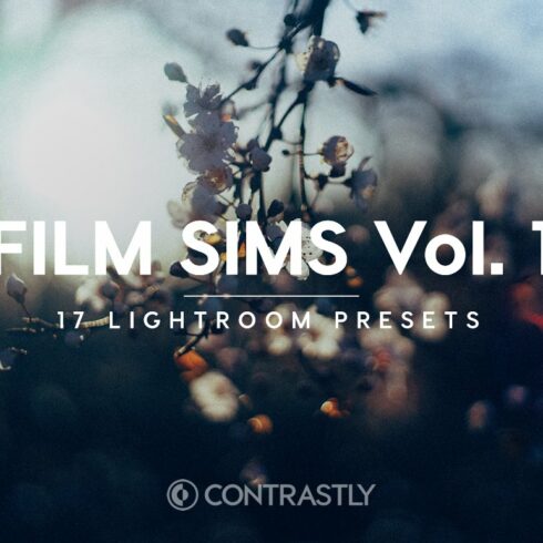 Film Sims Vol. 1 Lightroom Presetscover image.