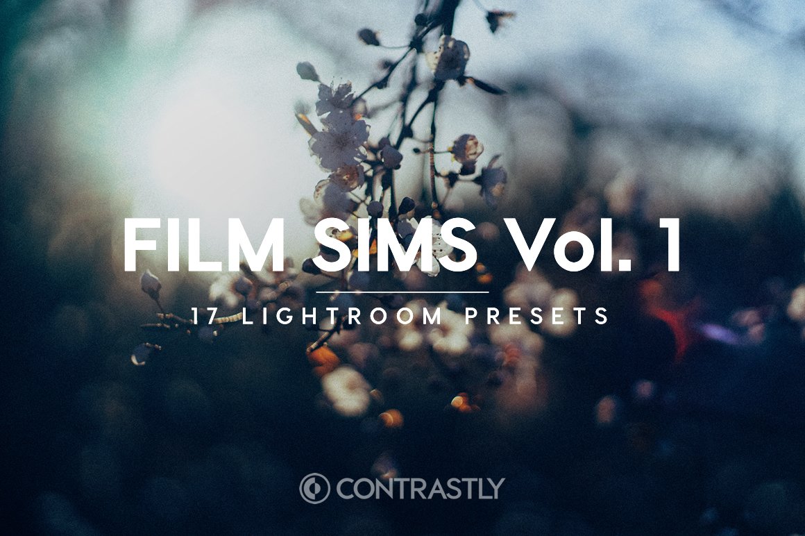 Film Sims Vol. 1 Lightroom Presetscover image.