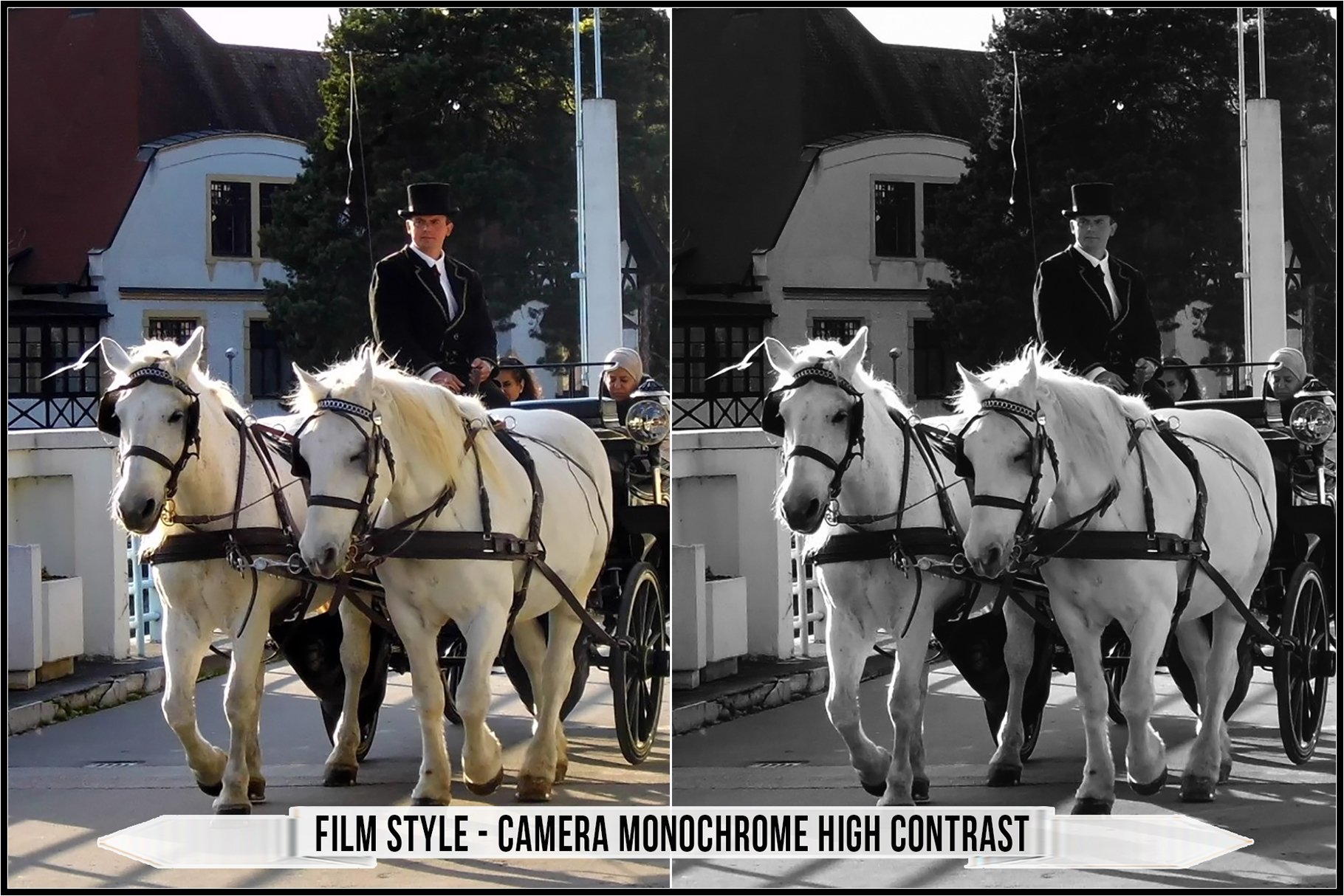 film style camera monochrome high contrast 961