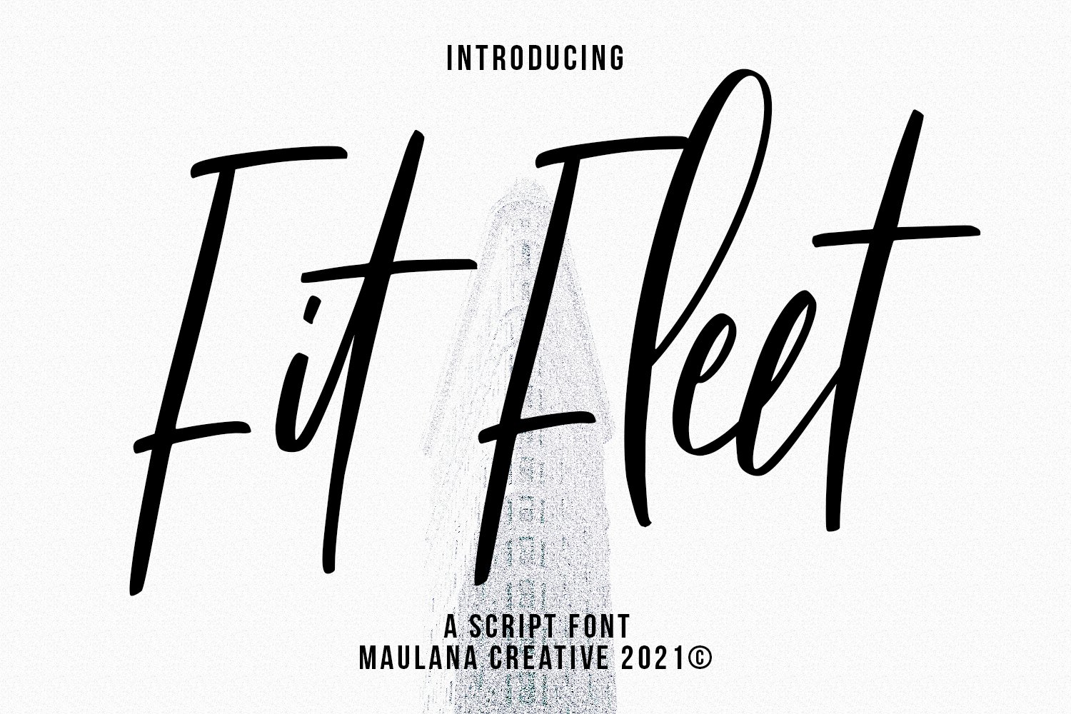 Fit Fleet Script Font cover image.