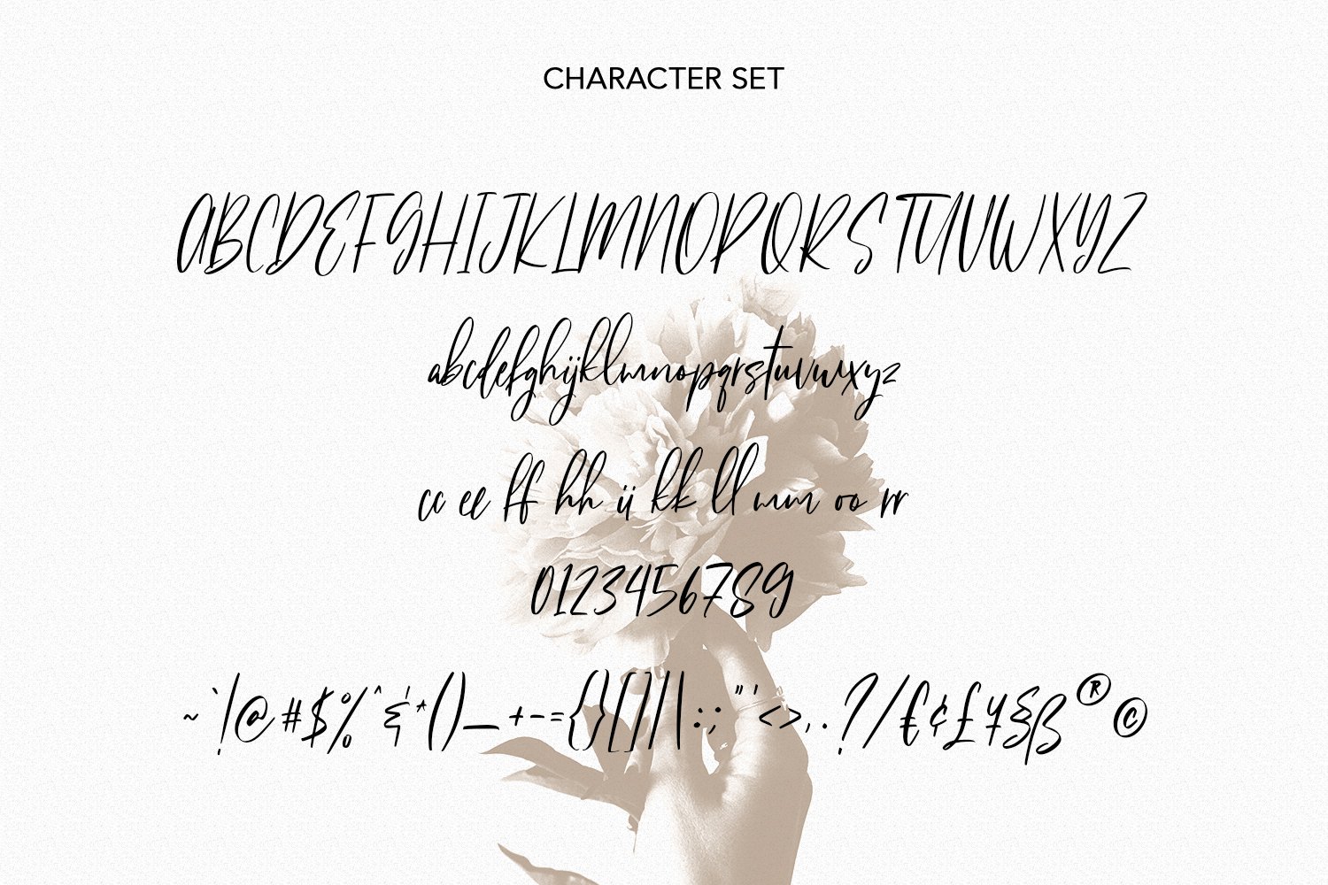 fit fleet script font 8 941