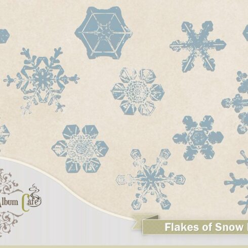 Flakes Of Snow Photoshop Brushescover image.