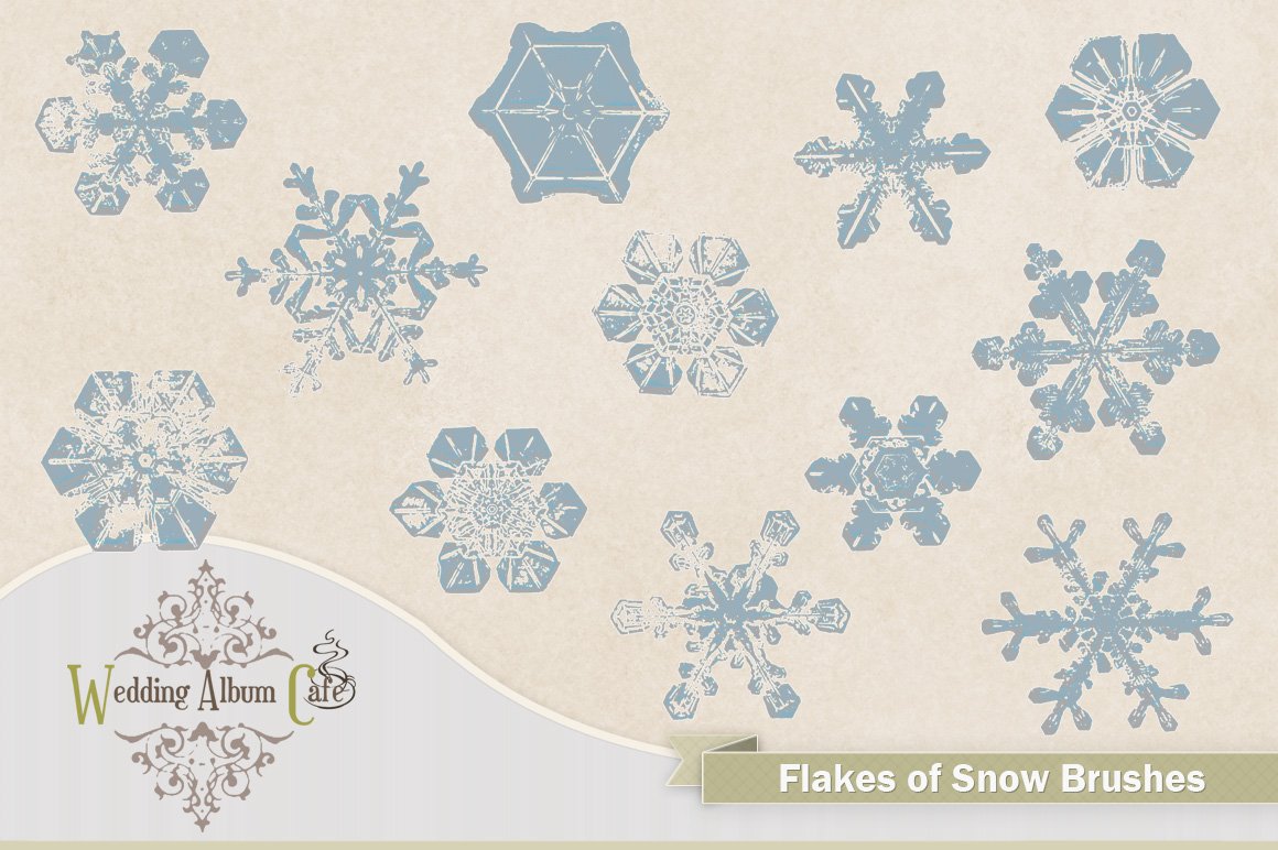 Flakes Of Snow Photoshop Brushescover image.