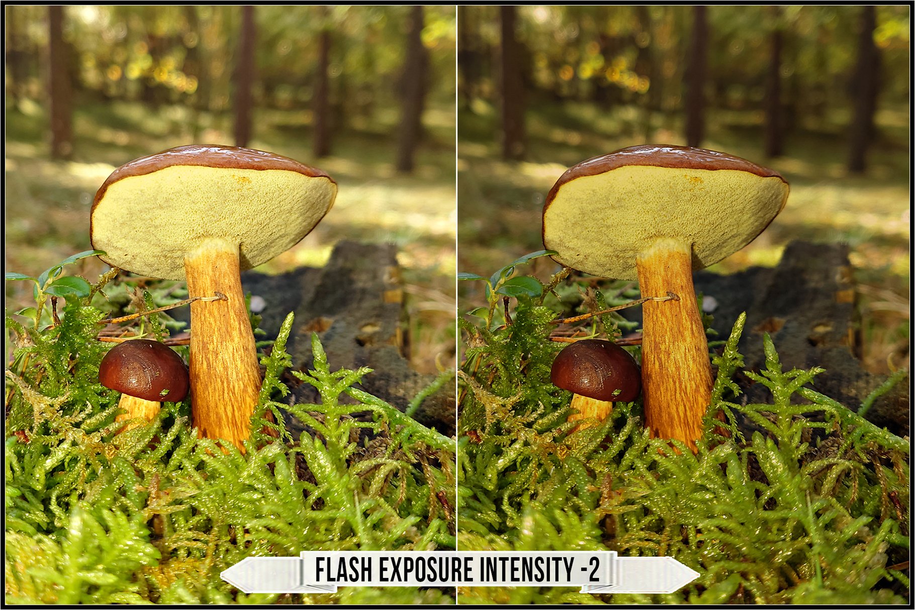 flash exposure intensity 2 521