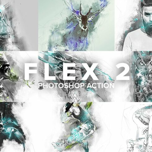Flex 2 Photoshop Actioncover image.