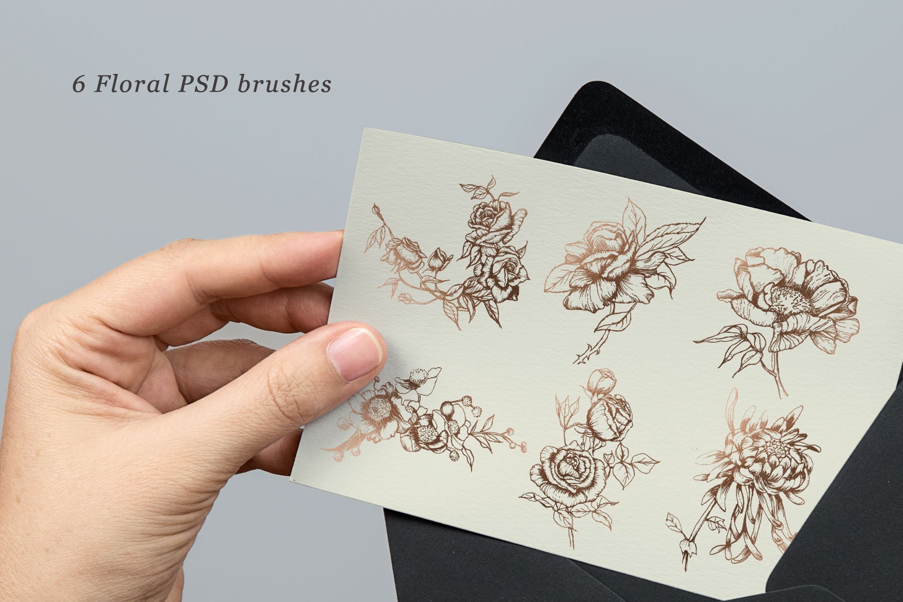 6 Hand Inked Floral PSD Brushespreview image.