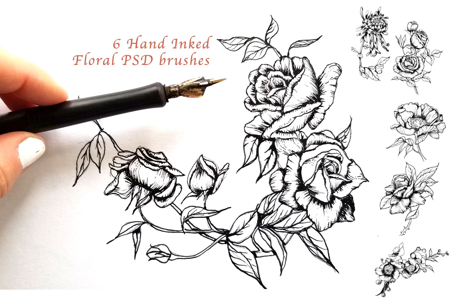6 Hand Inked Floral PSD Brushescover image.