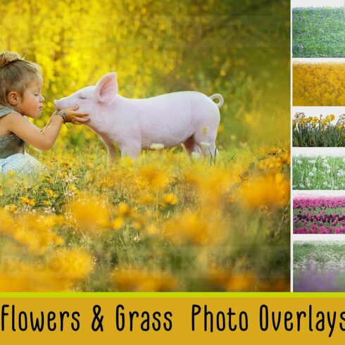 Flowers and Grass Overlayscover image.